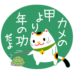 [LINEスタンプ] 招き猫ことわざ引用スタンプ 