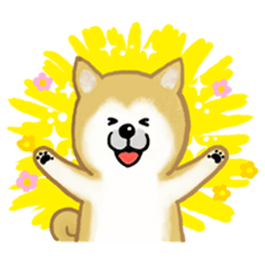 [LINEスタンプ] しばいぬスタンプ 