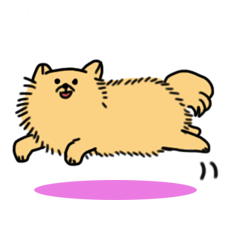 [LINEスタンプ] ふわふわポメラニアンズ 