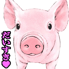 [LINEスタンプ] リアル動物アニマルスタンプ fetchpriority=high