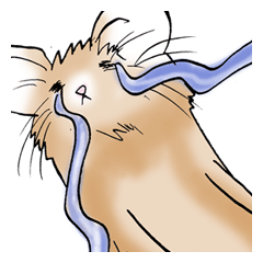 [LINEスタンプ] はーくんスタンプ 