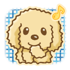 [LINEスタンプ] トイプードルさんのメッセージスタンプ 