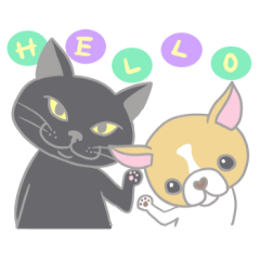 [LINEスタンプ] クロネコ×チワワ fetchpriority=high