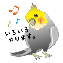 [LINEスタンプ] おちゃめインコ 