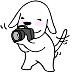 [LINEスタンプ] 旅するわんこ 