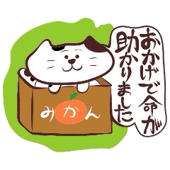 [LINEスタンプ] 媚びる！三毛猫タソ！ 