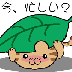 [LINEスタンプ] 気をつかいながら話しかける猫40パターン 