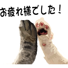 [LINEスタンプ] 猫手 