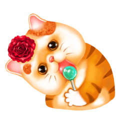 [LINEスタンプ] Cute Cats Cartoon 