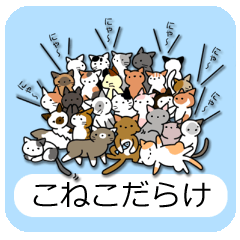 [LINEスタンプ] こねこだらけ 