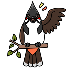 [LINEスタンプ] Red-whiskered bulbul bird 
