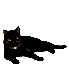 [LINEスタンプ] 黒猫の大ちゃん fetchpriority=high