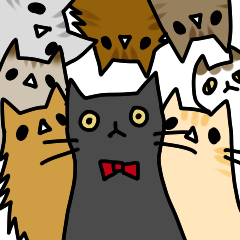 [LINEスタンプ] ねこだらけの家 