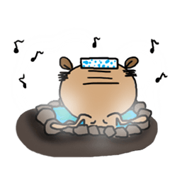 [LINEスタンプ] クマ男 【クマ美family】 