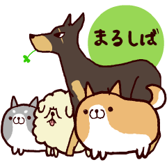 [LINEスタンプ] 柴犬の「まるしば」vol.2