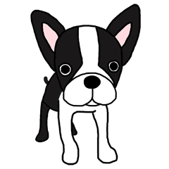 [LINEスタンプ] ゴー！ゴー！テリー！ 