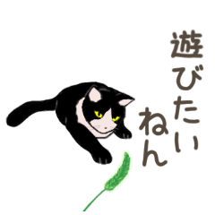 [LINEスタンプ] 大学猫の関西弁 