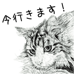 [LINEスタンプ] vol.02 Cats ＆ Dogs 2 - 山田貴裕 - 猫＆犬