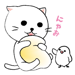 [LINEスタンプ] 白ねこさんと文鳥さん 