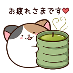 [LINEスタンプ] あにまぁるにゃんこ 