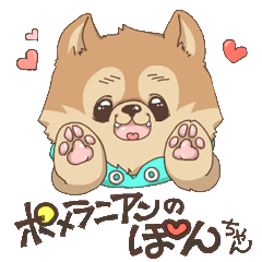 [LINEスタンプ] ぼくんちのポメラニアン 