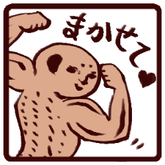 [LINEスタンプ] ミーアキャットスタンプ ムキムキ編 