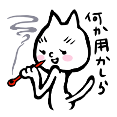 [LINEスタンプ] 白猫のビビ丸 