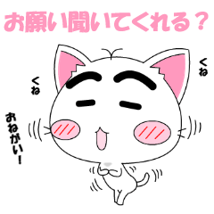 [LINEスタンプ] ねこまゆん 質問＆お願いスタンプ編 
