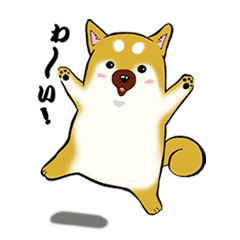 [LINEスタンプ] 柴いぬ コタン fetchpriority=high