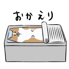 [LINEスタンプ] コーギーのゆるい日常 