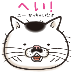 [LINEスタンプ] 猫面相2 -ブサ猫スタンプ- 