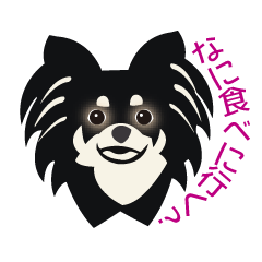 [LINEスタンプ] ブラタンチワワうり 