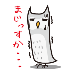 [LINEスタンプ] ゆるかわフクロウのスタンプ 
