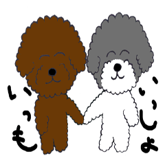 [LINEスタンプ] 仲良しトイプードルのモコとミッキー 