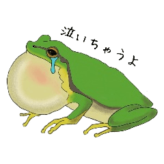 [LINEスタンプ] リアルカエル 