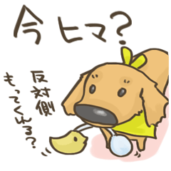 [LINEスタンプ] うぃくん その2 
