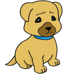 [LINEスタンプ] Troubled face Shiba dog. 