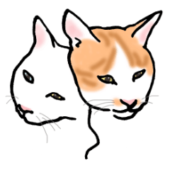 [LINEスタンプ] 実在ネコ2 fetchpriority=high