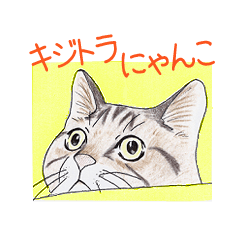 [LINEスタンプ] キジトラにゃんこ 
