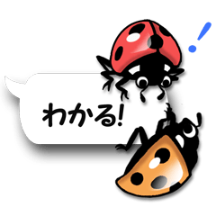 [LINEスタンプ] 昆虫がフキダシにこんなにも 