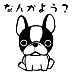 [LINEスタンプ] つえちょる犬 