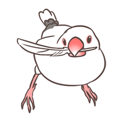 [LINEスタンプ] 白文鳥さん 