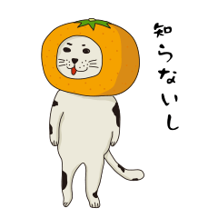 [LINEスタンプ] 猫みかん 