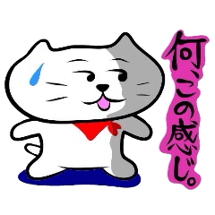 [LINEスタンプ] バンダナをまいたネコ3 