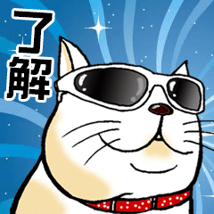 [LINEスタンプ] 猫の惑星 
