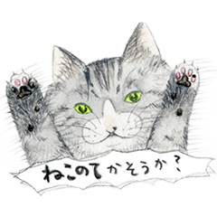 [LINEスタンプ] こじ＆もものねこのてかそうか？ 