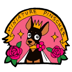 [LINEスタンプ] ミニピンちゃん・ブラックタンの巻 