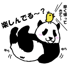 [LINEスタンプ] 建前パンダと本音鳥 fetchpriority=high