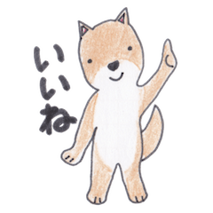 [LINEスタンプ] 柴犬のチョコちゃん 