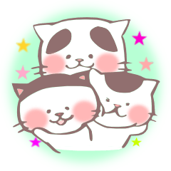[LINEスタンプ] ハチワレねこ・ぱっつん前髪・個性眉毛猫 